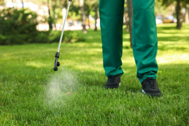 Best Local Pest Control Services  in Fords, NJ