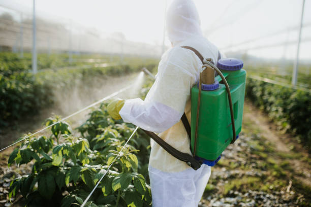 Best Emergency Pest Control  in Fords, NJ